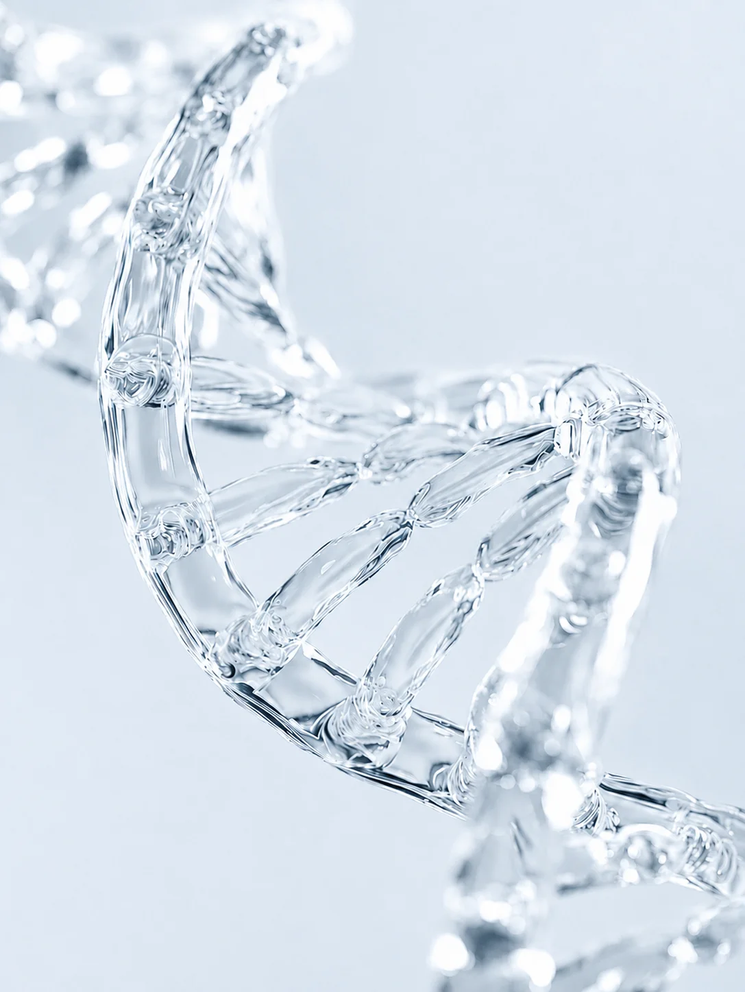 Cognitive Function peptide research category — cognitive function studies